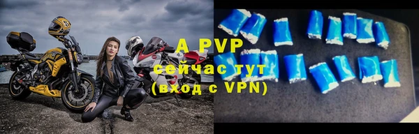 дживик Инсар