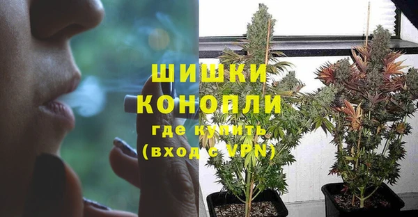дживик Инсар