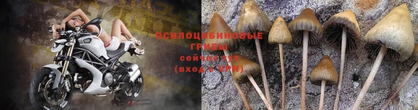 дживик Инсар